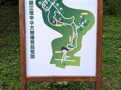 -都江堰中华大熊猫苑