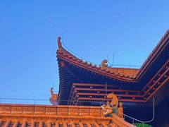 -深圳仙湖植物园