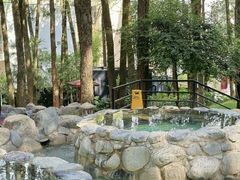 -金方森林温泉