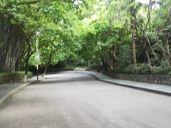 -水濂山森林公园