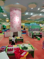 -莫莉幻想儿童乐园(武汉经开永旺店)