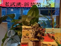 -俏立方·15年新楚菜