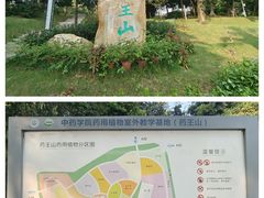 -广东中医药博物馆