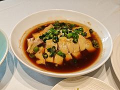 -柴门·头啖汤(天安千树店)