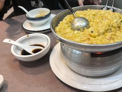 -丁老爷子苏香圆