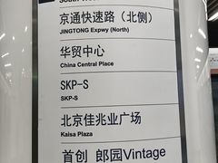 -大望路(地铁站)