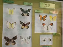 -上海昆虫博物馆