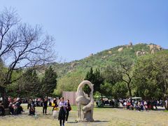 -嵖岈山风景区