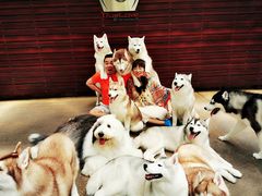 -TrueLove @ Neverland (Husky Cafe)