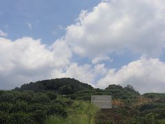 -龙井村