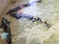 -胖姐渔村(中源大道店)