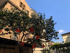 -嘉善老市