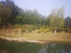 -宜兴龙背山森林公园