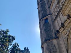 -普林斯顿大学