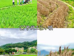 -艾米稻香小镇