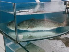 -烁佳海鲜大馅饺子