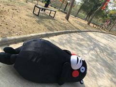 -天适樱花悠乐园