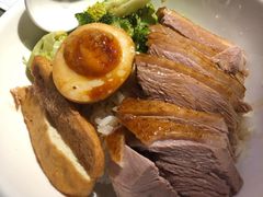 金奖卤鹅肉饭-陈鹏鹏潮汕菜(宝安机场T3航站楼店)