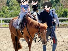 -卓悦童国际幼儿园