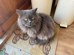 -小时光咖啡馆(开森度假森林店)