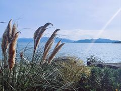 -东钱湖旅游度假区