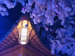 -汤乐汇•足道•SPA生活馆