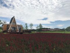 -云漫湖生态度假公园