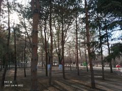 -靖宇公园