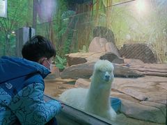 -苏州海洋馆