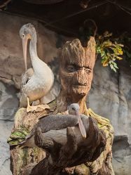 -Zoolung Zoolung动物主题公园(海信广场店)