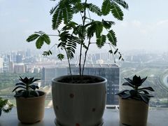 -南通金石国际大酒店