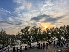 -宝安西湾红树林湿地公园