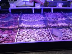 -韩盛·盛江山自助料理(中街大悦城店)