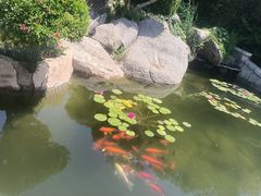 -烟台山景区