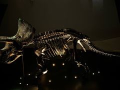 -墨尔本博物馆(Melbourne Museum)
