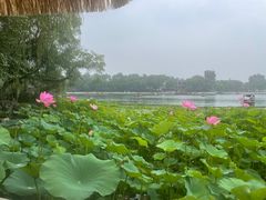 -小王府(什刹海店)