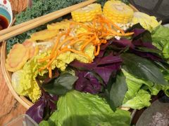 -春润大地海南椰子鸡(沙井京基百纳广场店)