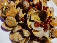 -潮庭·大连海鲜·炭火烧烤·扇贝王(大连店)