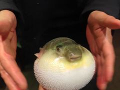 -永安鱼庄·镇江菜(东吴路店)