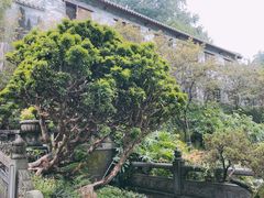 -国恩寺
