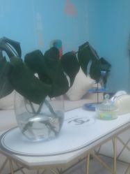 -斐尔国际皮肤管理中心