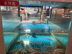 -石锅苗苗鱼(武汉首店)