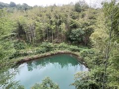 景点-大唐贡茶院