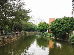-晓港公园