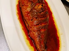 红烧黄鱼-燕春楼(海河华鼎店)