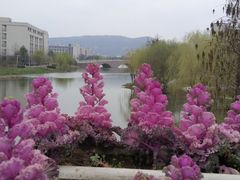 -江南大学(蠡湖校区)