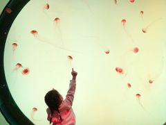 -沈阳海洋探索中心