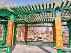 -西海子公园