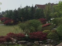 -铁山坪森林公园