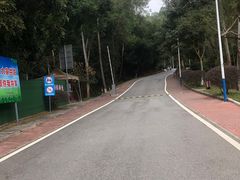 -火炉山森林公园